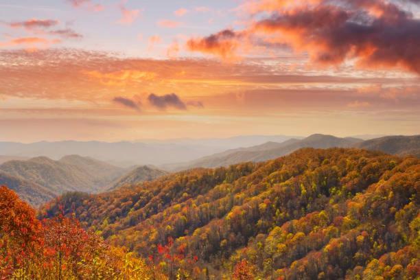 Modern Style, 2 Bed Condo, Pool In Gatlinburg! Exterior foto